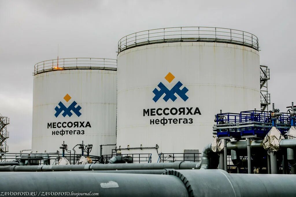 Мессояханефтегаз. Мессояханефтегаз Восточно-Мессояхское месторождение. Ямал Мессояха. Восточно мессояхское месторождение природная зона