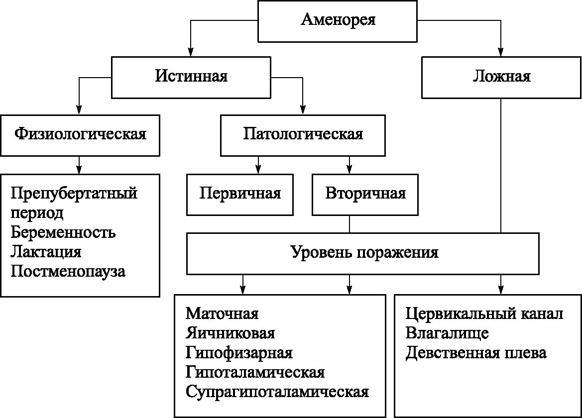 Аменорея гинекология. Первичная и вторичная аменорея. Патологическая аменорея. Причины гипоталамо-гипофизарной аменореи. Вторичная аменорея.