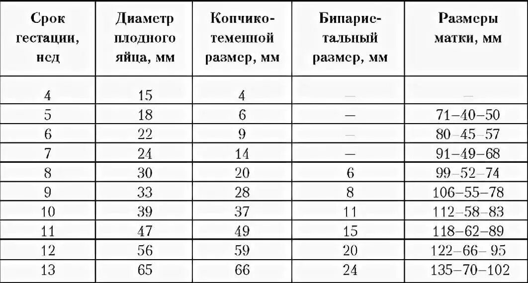 Матка на 33 неделе беременности