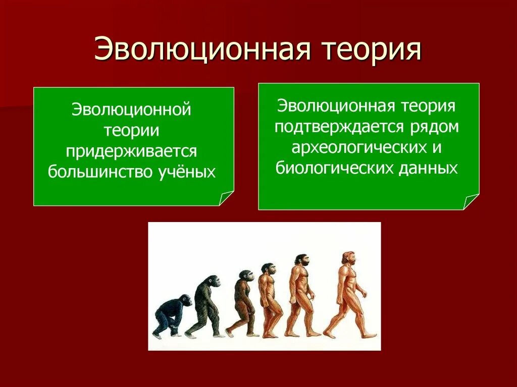 Первой эволюционной теорией является. Эволюционная теория. Эволюционистская теория. Эволюционное учение. Эволюционная теория человека.