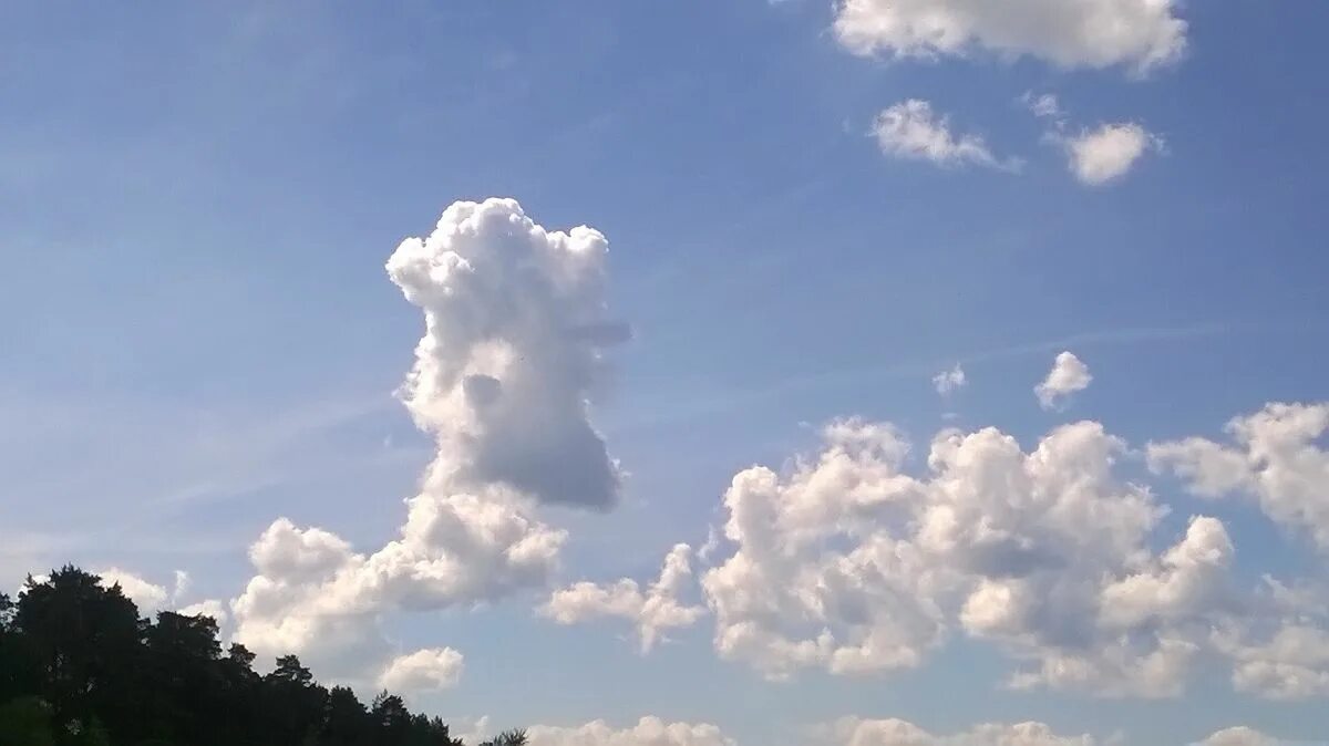 светлые плывут облака. облака плывут. облака плывут на юг. плыли облака слушать. над кронами леса плывут облака.