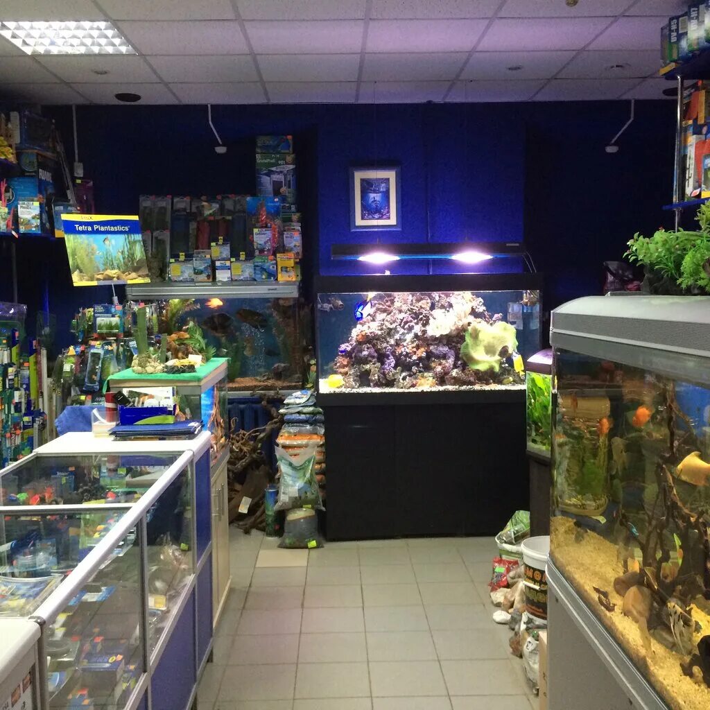 Aquarif, +7 831 428-47-35, ул. Максима Горького, 162, Nyizsnyij Novgorod, Нижего