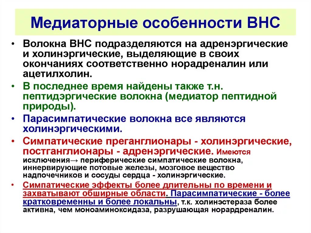 Классификация вегетативной. Особенности вегетативной нервной системы. Вегетативная нервная система таблица. Особенности строения ВНС. Особенности вегетативной системы.