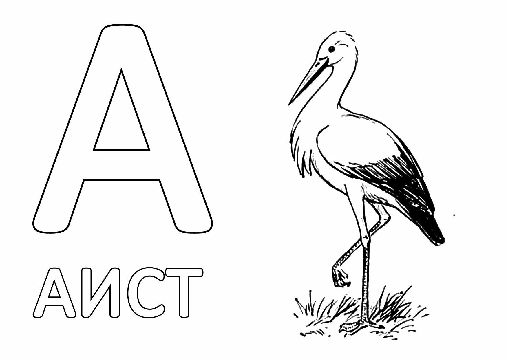 Аист раскраска. Буква а Аист. Раскраска буквы. Буква а раскраска для детей. Ласковое на букву а