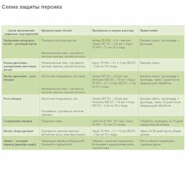 Каким препаратом обработать смородину. Схема обработки персика от вредителей. Схема обработки смородины от болезней. Схема подкормки персика. Защита персика от болезней и вредителей.