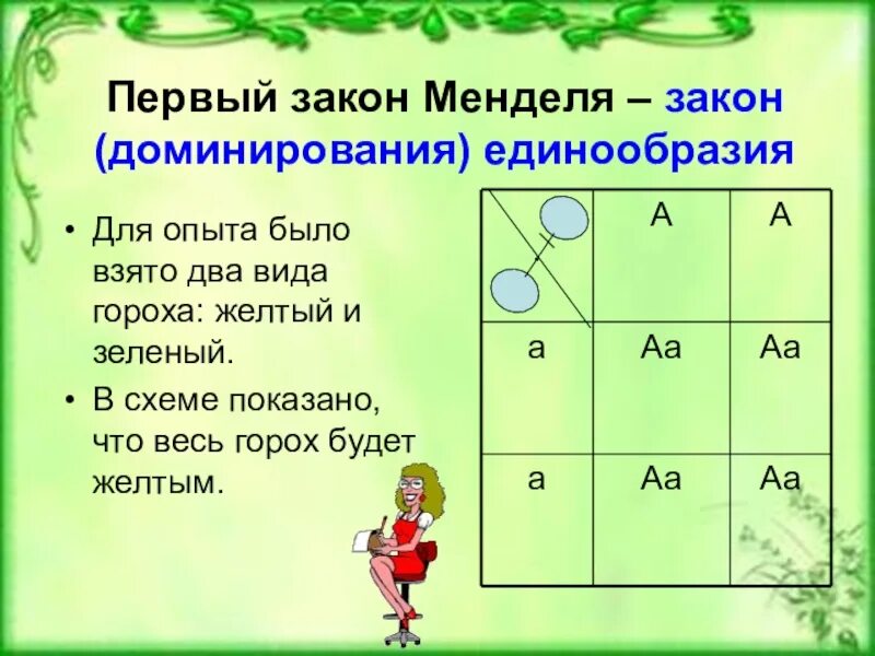 Первый закон Менделя. 1 Закон Менделя схема. Первый закон Менделя презентация. Первый закон Менделя схема. Первый закон менделя доминирование