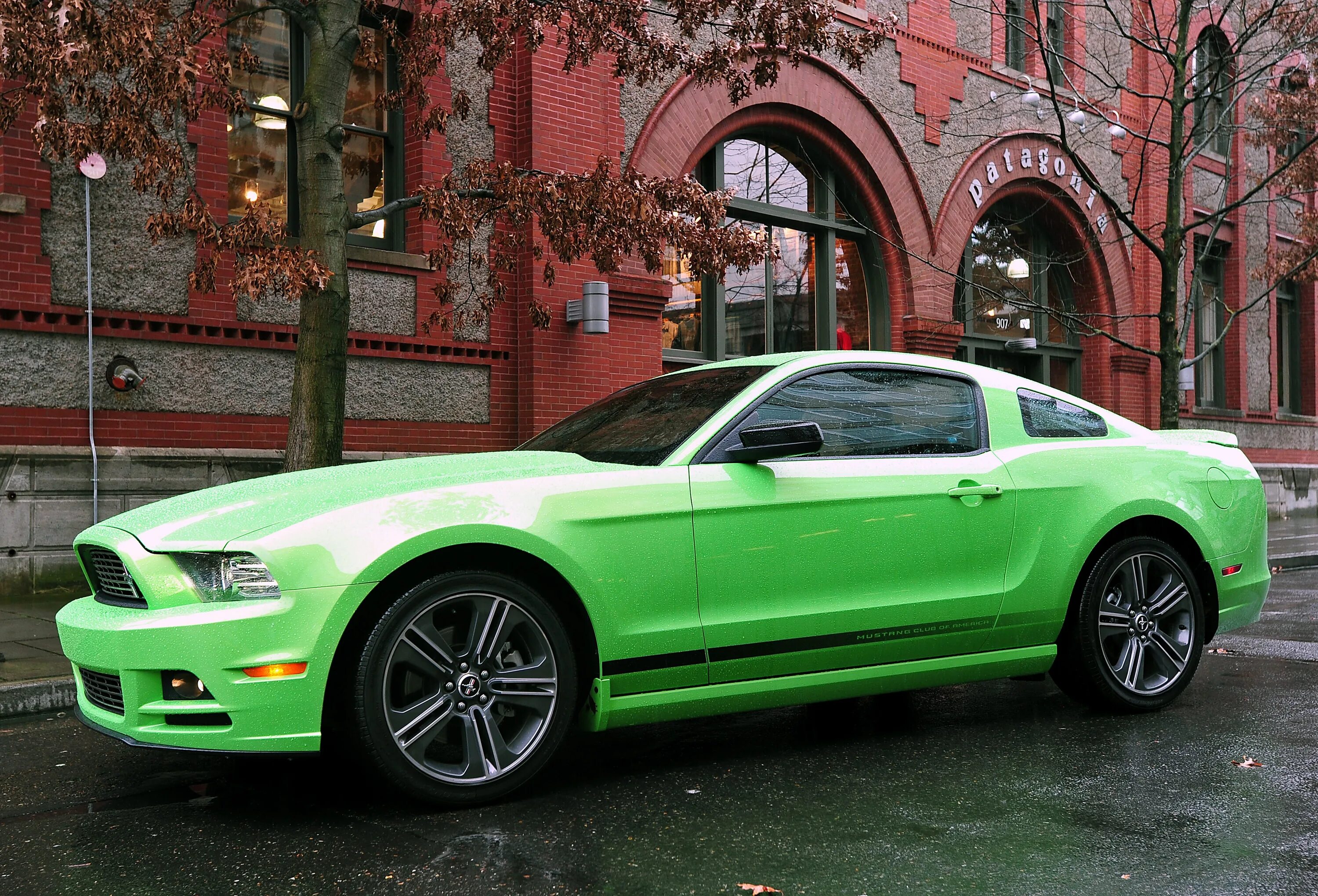 Продажа мустанг. Ford Mustang v. Mustang v6. Форд Мустанг зеленый. Мустанг v 125.