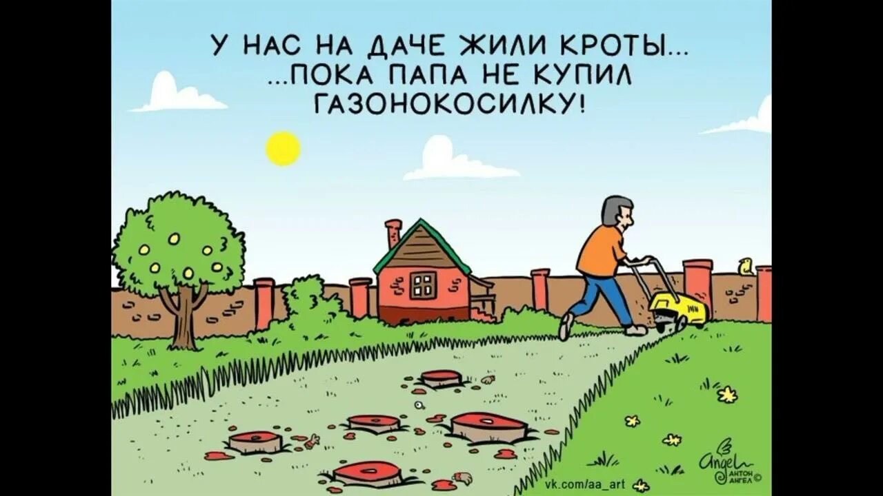 Приколы про дачу. Смешное про дачу. Смешно о дачниках. Дачник карикатура.