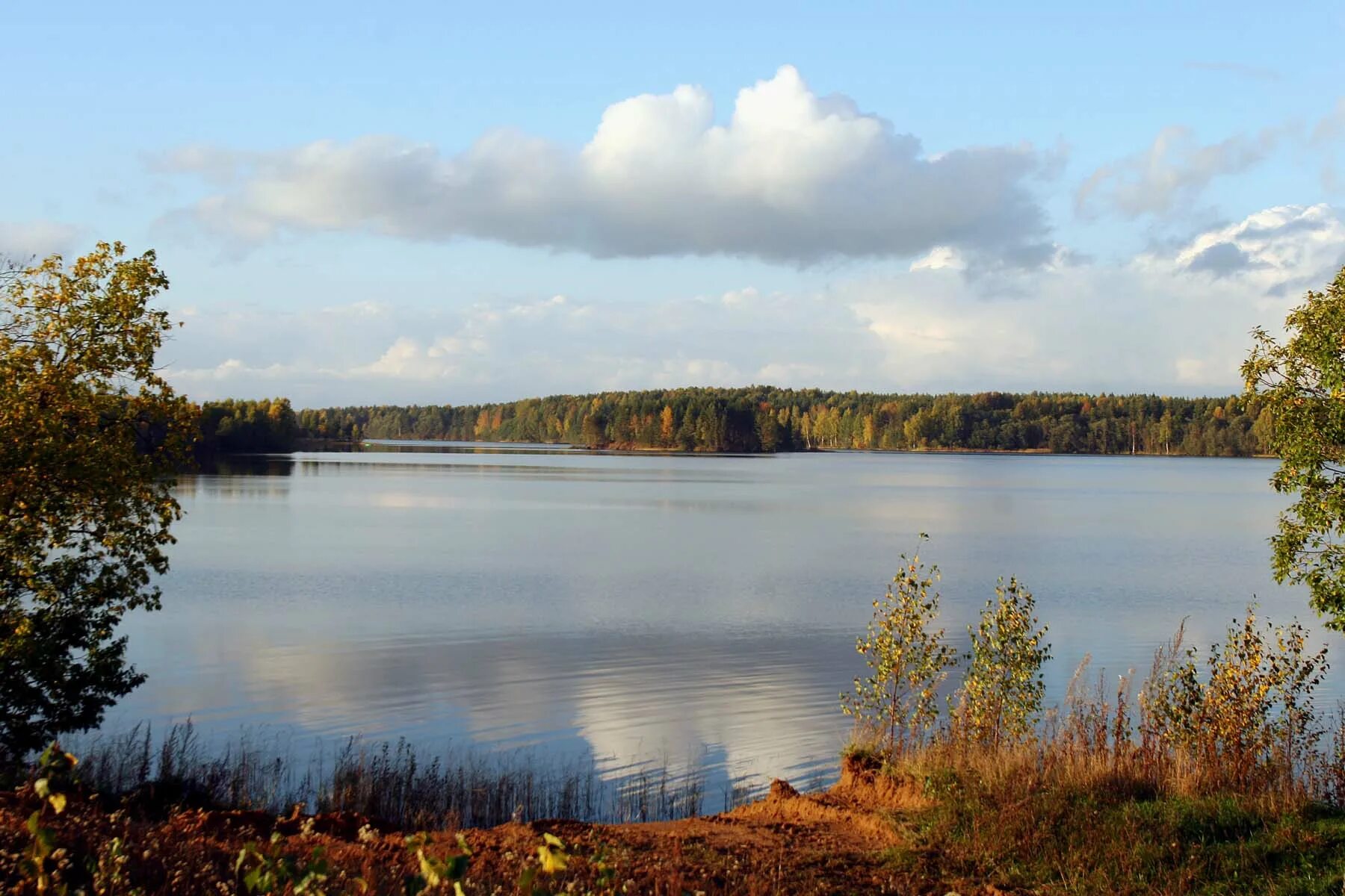 Озеро велье новгородская