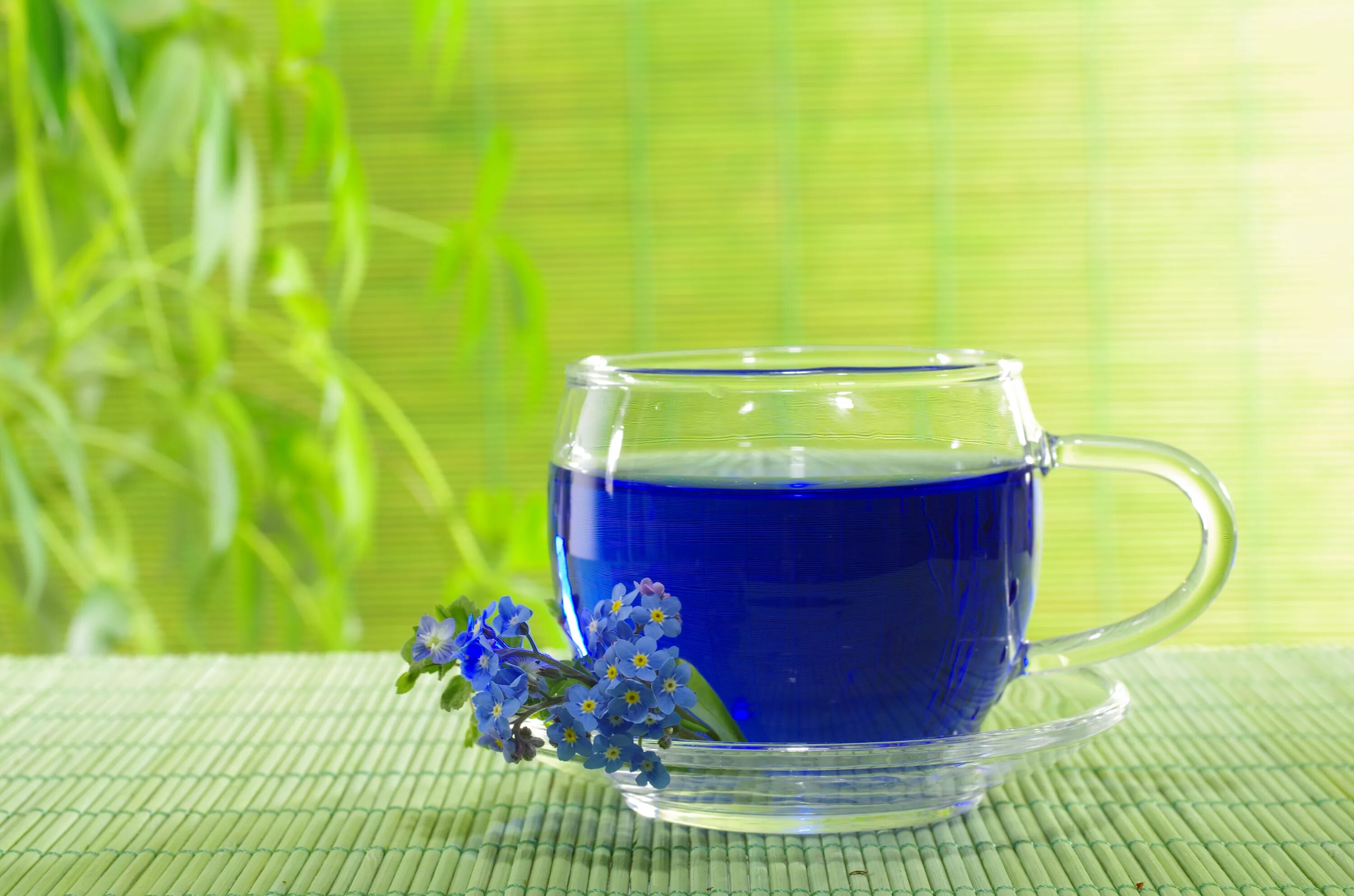 Чай с васильком. Синий чай Анчан. Тайский синий чай Анчан. Голубой чай. Чай из голубых цветов.