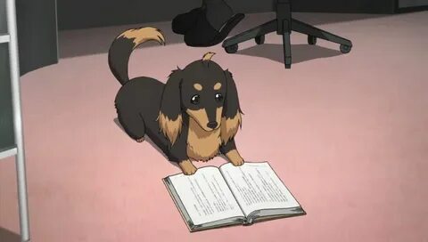 Dog animation