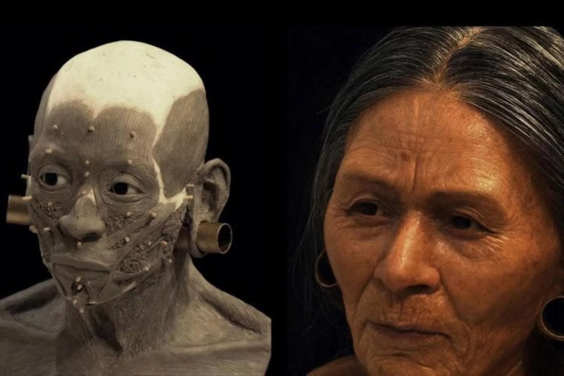 Оскар Нильсен реконструкции по черепу. Воссоздание лица по черепу. Реконструкция по черепу. Лица в древнем мире