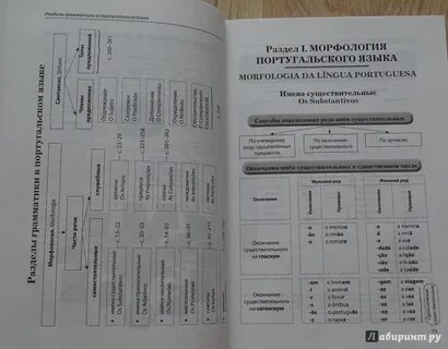 Полная грамматика