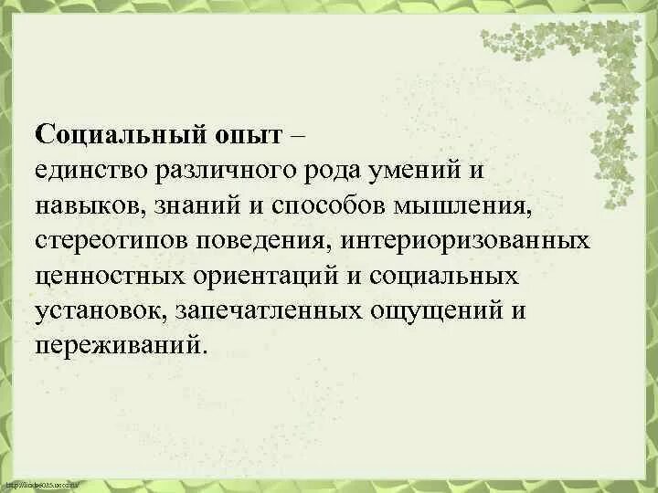 Соц опыт. Принципы социального воспитания.