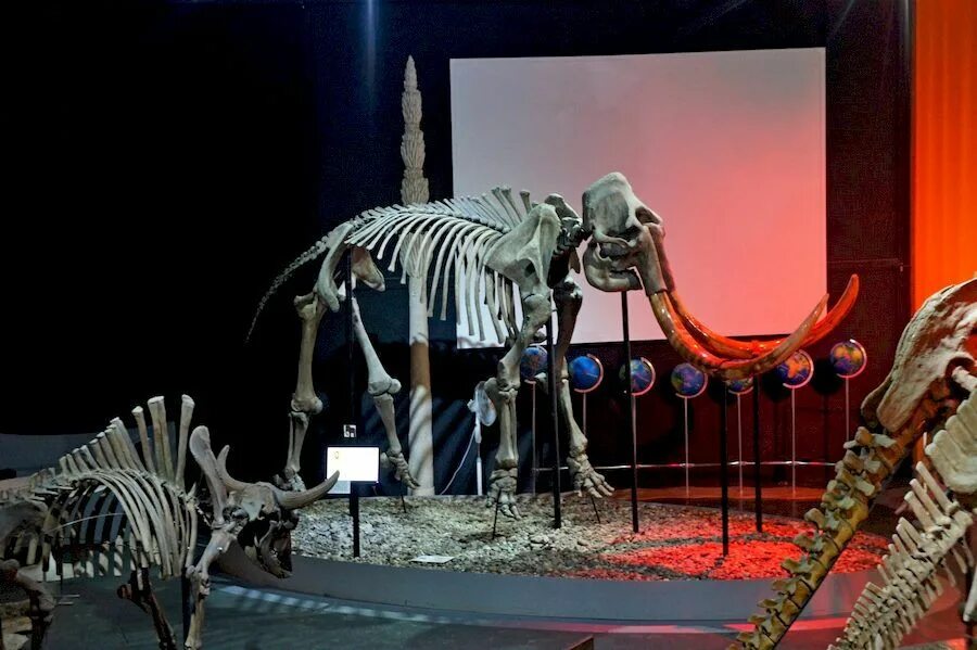 музей пермь режим работы