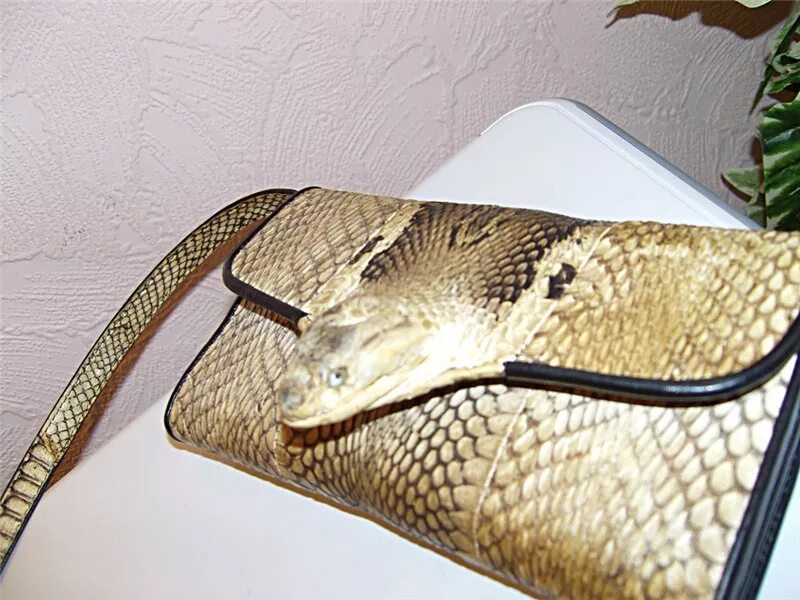 В змеиной шкуре 2 часть. Изделия из змеиной кожи. Кожа змеи изделия. Из кожи змеи. Изделия из кожи анаконды.