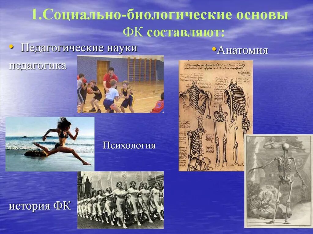 Социально биологические основы. Социально-биологические основы физической культуры. Социально биологические основы физкультуры. Физкультура: социально-биологические основы физической культуры. Физическая основа общества