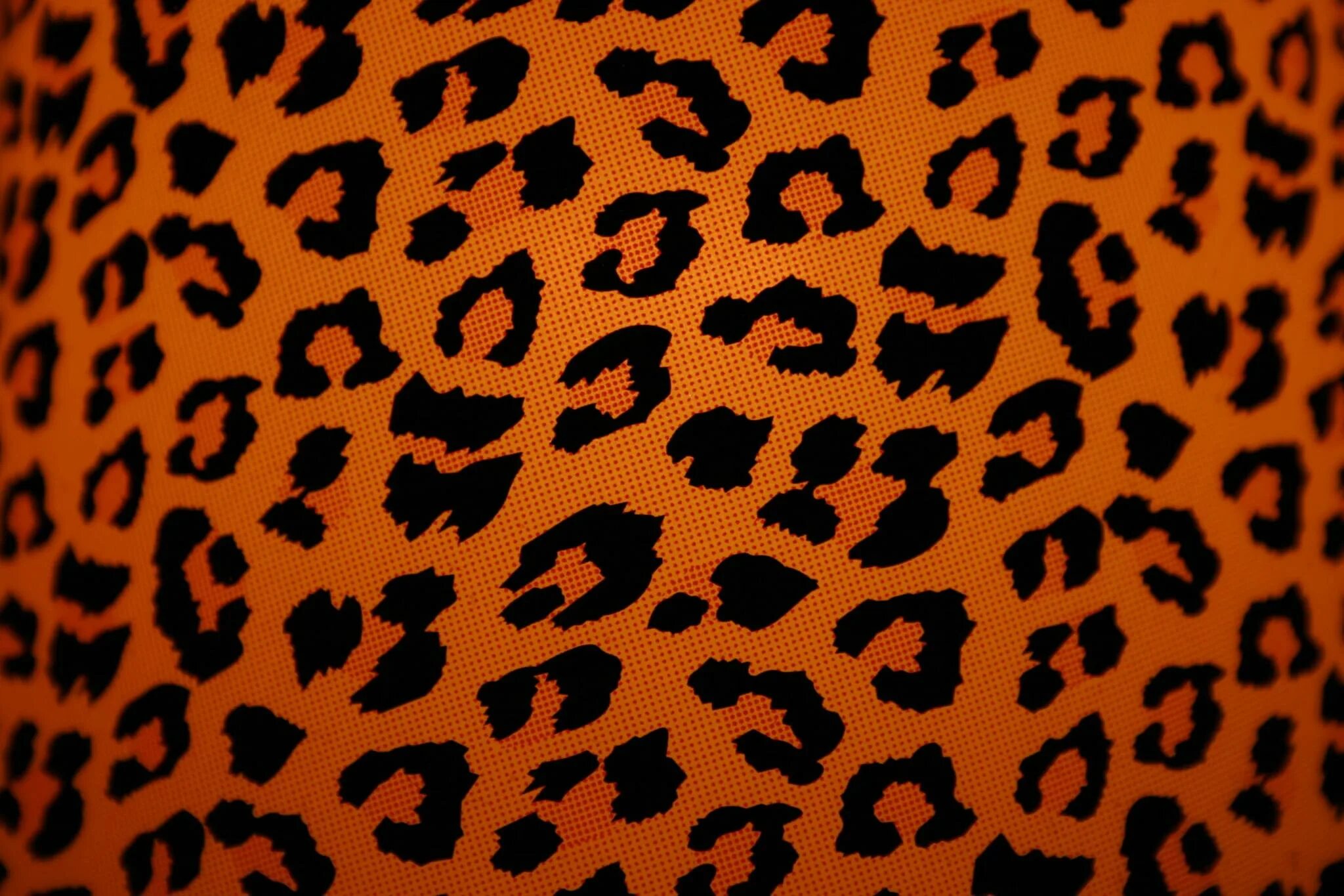 Леопард фон. Фон леопардовый паттерн. Леопардовый принт. Леопардовый цвет.