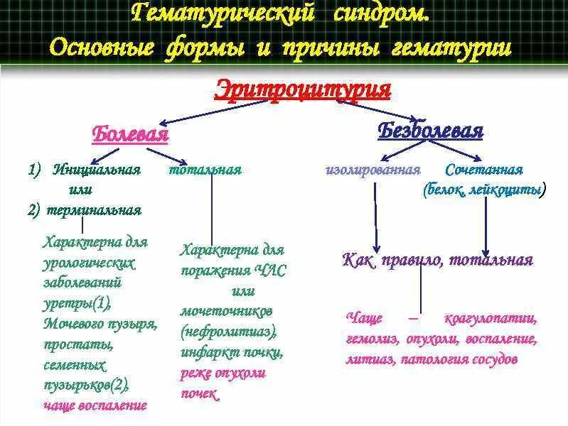 Гематурический синдром. Гематурия инициальная терминальная тотальная. Гематурия болевая безболевая формы. Гематоуремияеский синдром.