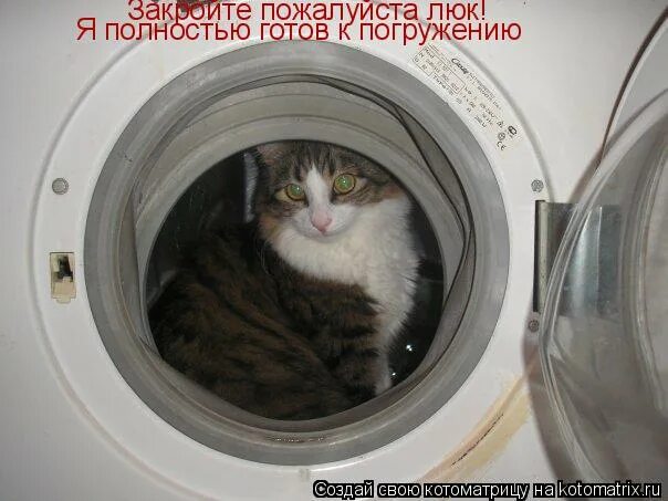 Коменгсплощадки курск. Котоматрица доброе утро. Он сказал поехали и махнул рукой. Чистый четверг котики. Задраить люки анимация.