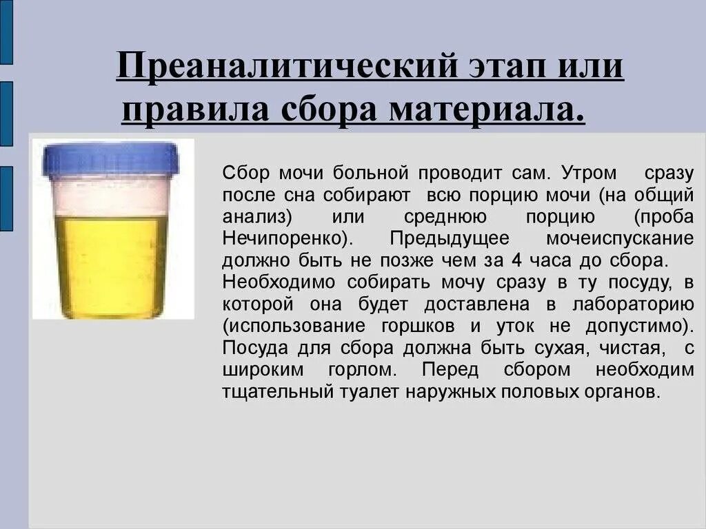 Моча прозрачная как вода причины. Моча. осадок в моче. мутная моча у ребенка причины.