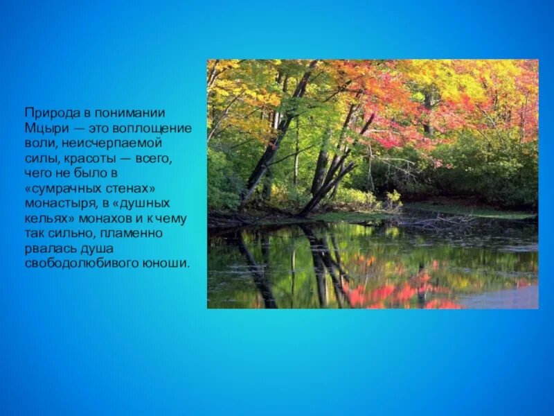 Природа поэма мцыри. Описать красоту природы. Восхищение природой Мцыри. Мцыри природа. Природа в рассказе Мцыри.