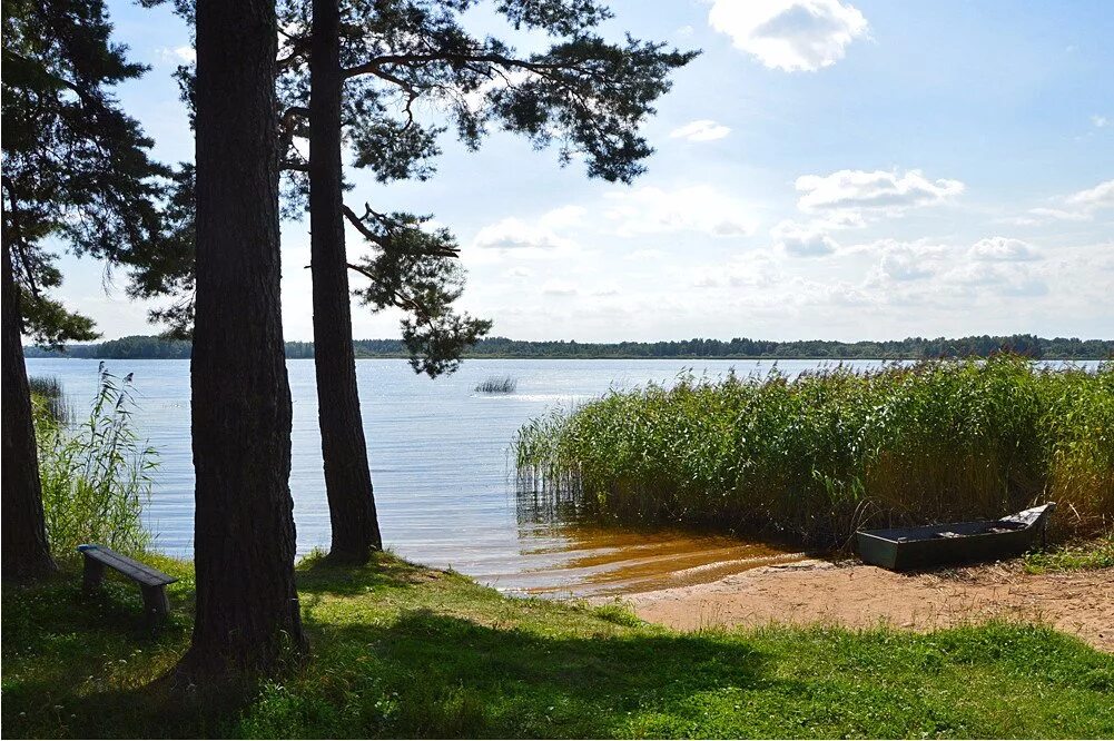 Продажа участков озере. Поселок Приозерный Лужский район. Скреблово Лужский район. Деревня Ванино поле Лужский район. Скреблово озеро.