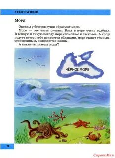 Наши моря география