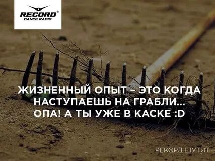 Жизненный опыт образования