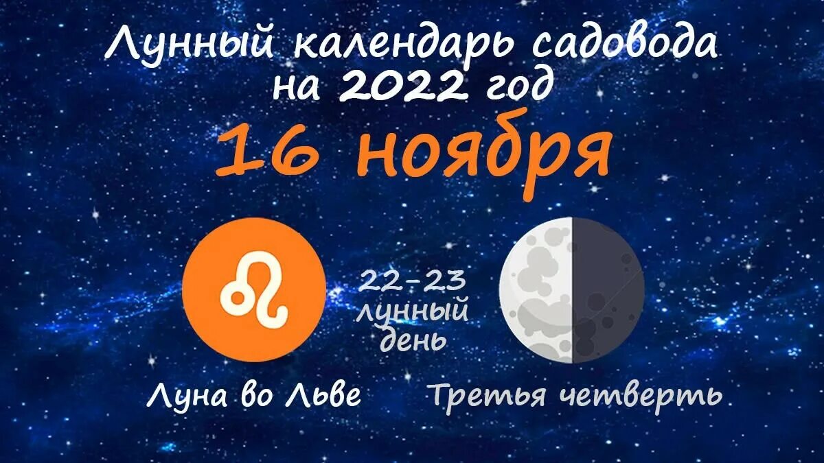 Луна сейчас. Растущая Луна в ноябре 2022. Лунный Садовод ноябрь 2022. Лунный календарь на ноябрь 2022.