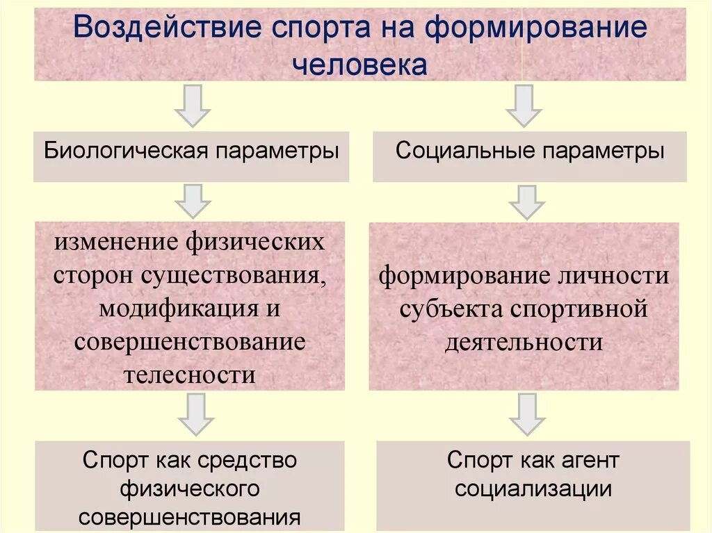 Культура формирует у человека