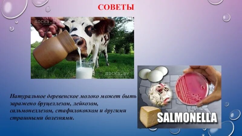 Детские проект молоко. Пейте молоко будете здоровы. пейте дети молоко будете здоровы. проект пейте дети молоко будете здоровы. пейте дети молоко будете здоровы картинки.