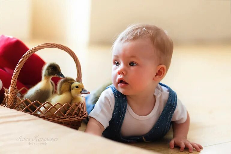 Подарок на 2 года девочке монтессори. Babyblog картинки. Бебиблог малыши. Бебиблог малыши. Babyblog.
