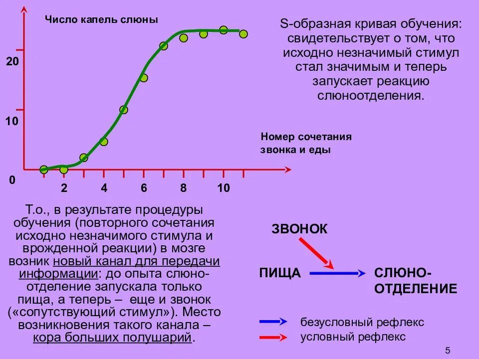 Капля слюны