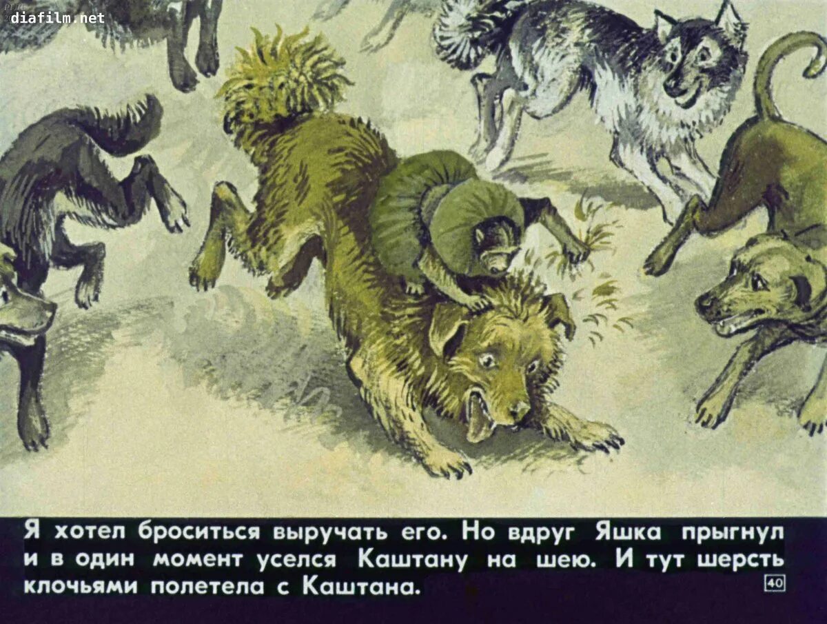 Про обезьянку 3 класс литературное чтение иллюстрация. Иллюстрация к рассказу бориса житкова про обезьянку. обезьянка яшка житков.