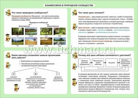 Природные сообщества 3 класс окружающий мир 21 век презентация