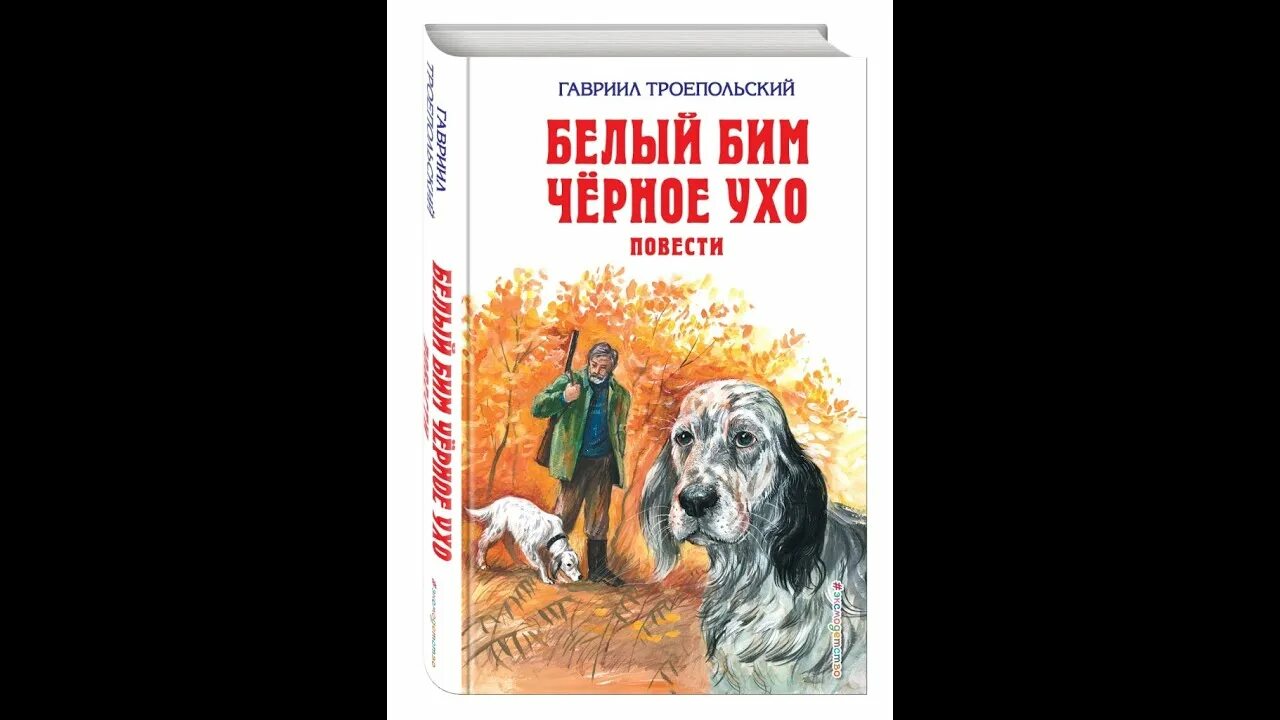 Г троепольский черное ухо. Белый Бим черное ухо книга. Обложка книги белый Бим черное ухо.