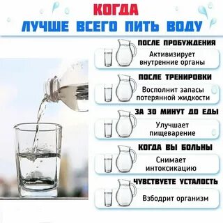 Как научиться пить в меру