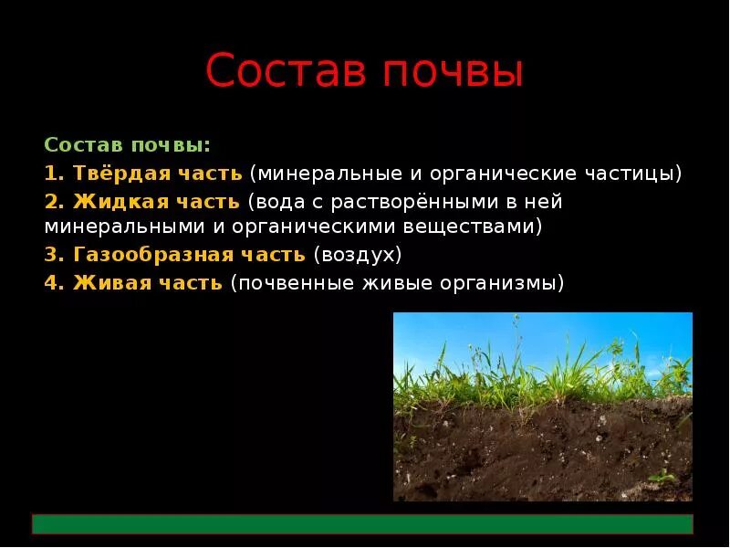 Состав почвы. Почва презентация. Почва состоит. Доклад на тему почва.