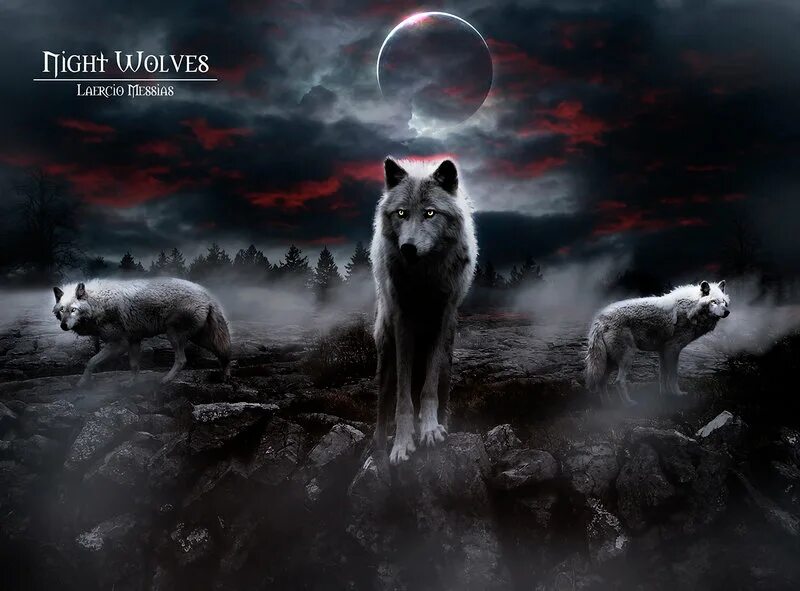 Стая злых Волков в лесу. Стая Волков ночью. Волк в ночи. Стая тёмных Волков.