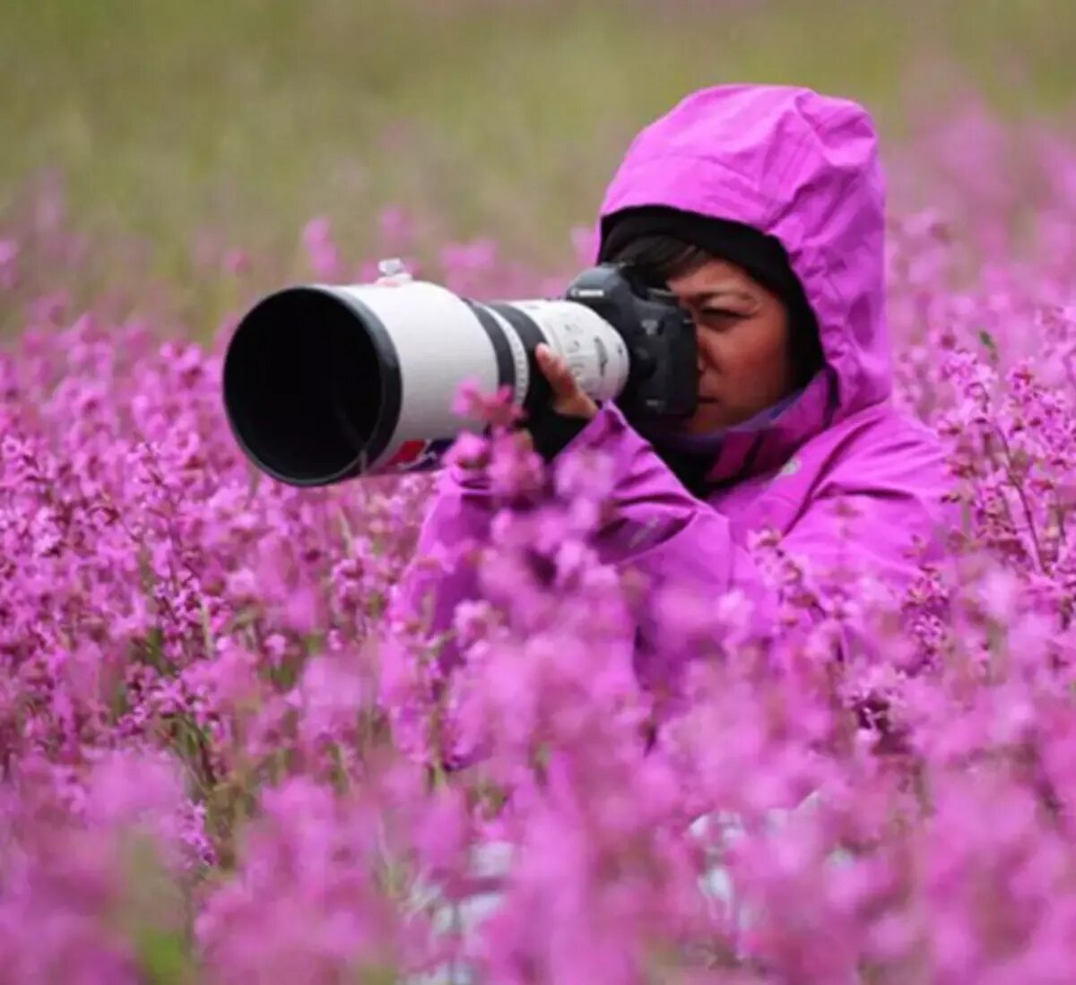 Фотограф натуралист. Фотограф Эстетика. Красивые работы фотографов натуралистов. Свет для съемки животных.