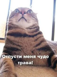 Отпусти в клуб