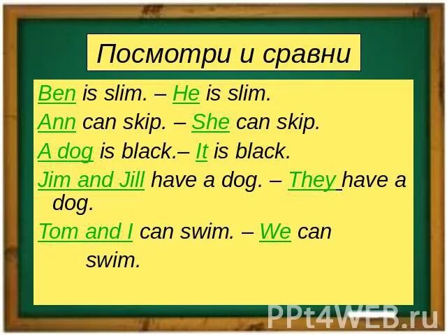 Skip перевод. Замени существительные местоимениями a Fish can Swim. Замени существительные соответствующими местоимениями a Fish can Swim. Заменить существительное a Dog местоимением английский. Omit перевод