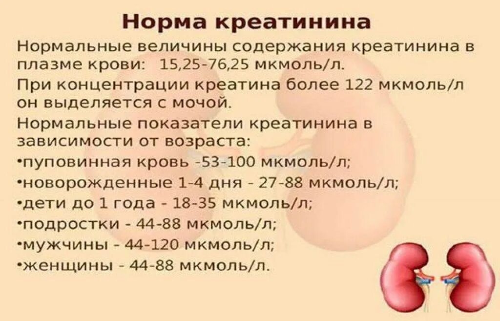 Повышение креатинина. Норма креатинина в крови норма. Норма креатина и креатинина в крови. Креатинин норма у мужчин после 60 лет таблица. Креатинин мкмоль/л норма.