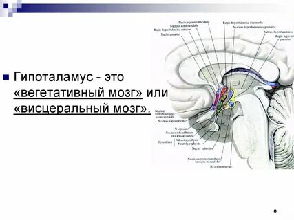 Повреждение гипоталамуса