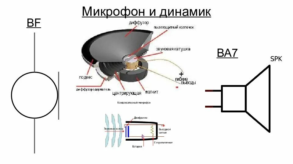 Виды динамиков