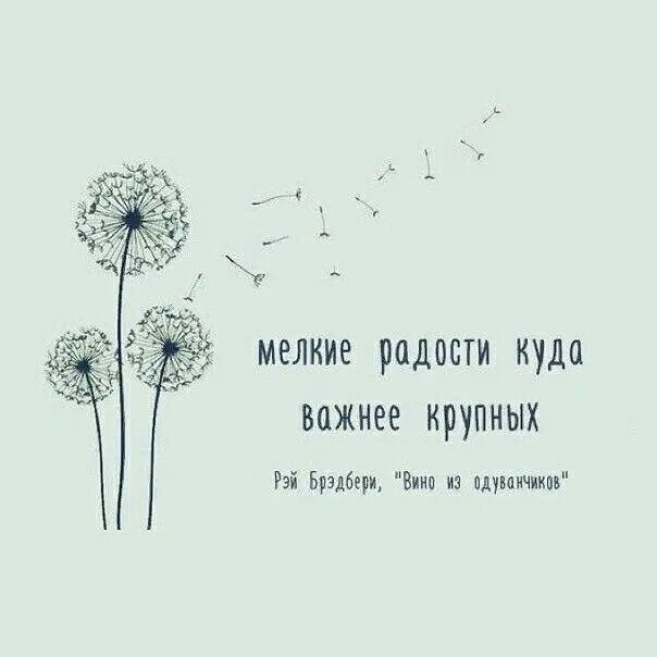 Высказывания про одуванчики. Афоризмы про одуванчики. Рисунки с Цитатами. Одуванчик цитаты афоризмы. Цветы цитаты из книг