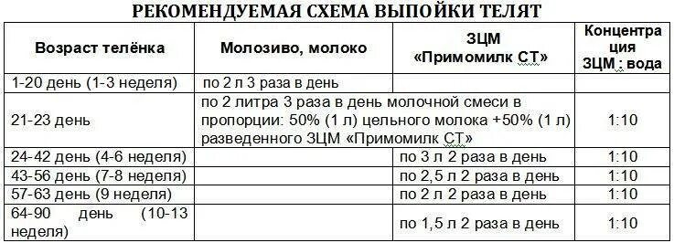 Можно ли поить теленка. Схема вы пайки телят азцем. Схема выпойки молока телятам до 3 месяцев. Выпойка телят сухим молоком схема. Схема выпойки телят молоком.