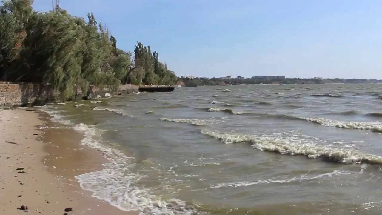 Собачий пляж таганрог. Собачий пляж таганрог. Чекадский пляж таганрог. Михайловский пляж таганрог фото. Таганрог море центральный пляж.