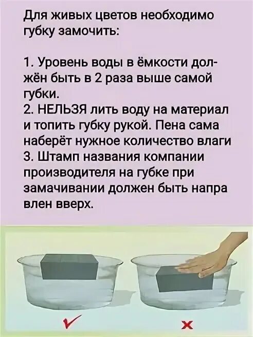 На сколько часов нужно замачивать. Замачивание флористической губки. Как замачивать губку для цветов. Губка для цветов название. Флористическая губка сколько воды впитывает в себя.